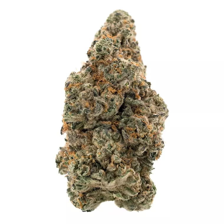 Demecan BB Regular Drop 25/1 Moonbow x Planet Purple – Crossbow – Produktbild des Anbieters Dr. Ansay