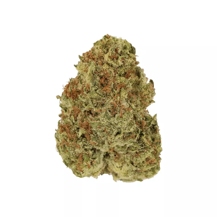 LUANA 20/1 MOB – Mango Sherb – Produktbild des Anbieters Dr. Ansay