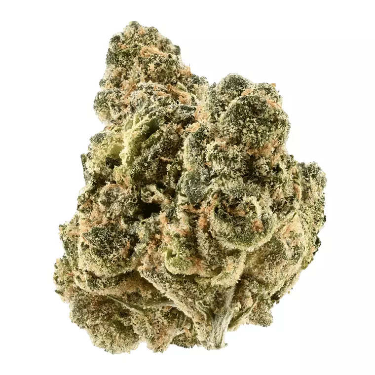 CV Regular Drop 25:01 – Banana Daddy – Produktbild des Anbieters Dr. Ansay