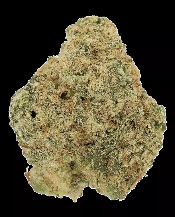 Cannamedical CM 32/1 SRK – Sour Kush – Produktbild des Anbieters Dr. Ansay