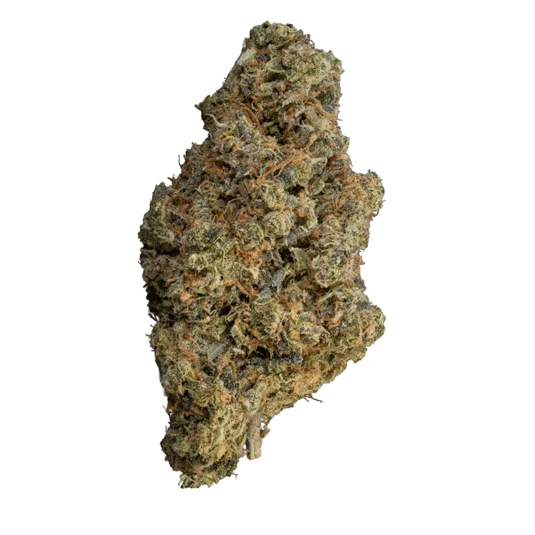 slouu 25/1 BBY CA – Blueberry – Produktbild des Anbieters Dr. Ansay