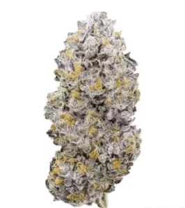 Care Cannabisflower VZ – VitaminZ – Produktbild des Anbieters Dr. Ansay