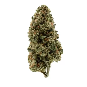 Demecan PS Epic Drop 30/1 – Orange Juice x Girl Scout Cookies – Produktbild des Anbieters Dr. Ansay