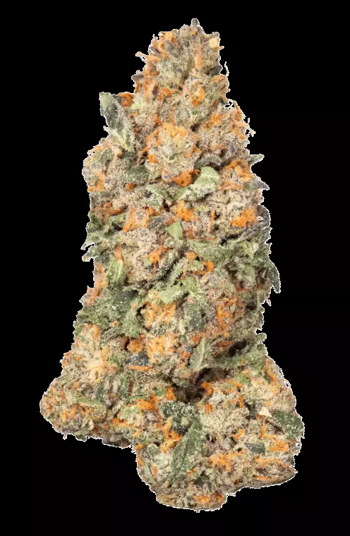 CRQSH GKY 25/1 – Gas Monkey – Produktbild des Anbieters Dr. Ansay