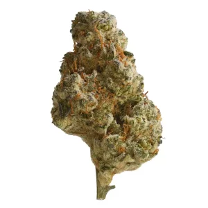 Patagonia JP10 32/1 – Jokerz Pop #10 – Produktbild des Anbieters Dr. Ansay