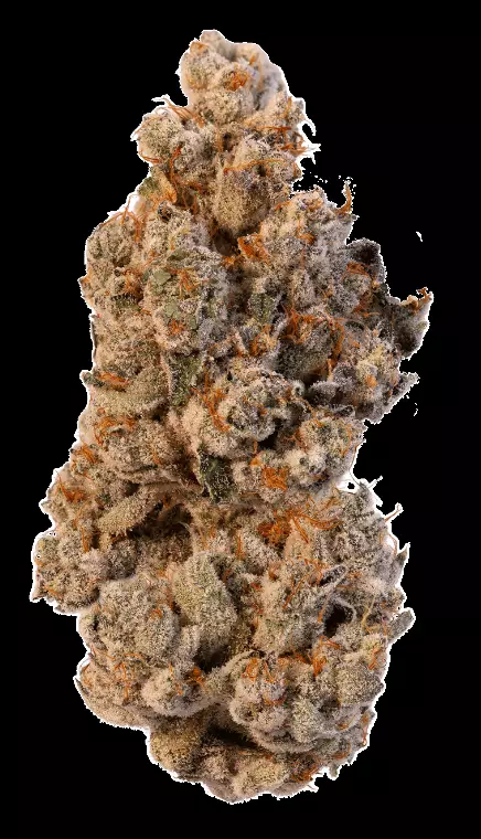 CRQSH LZZ 30/1 – Lemon Ztrawz – Produktbild des Anbieters Dr. Ansay
