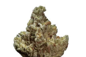 enua 27/1 E85 CA – G13 Ultra – Produktbild des Anbieters Dr. Ansay