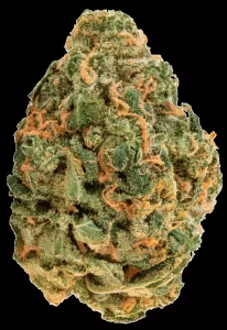 ZOIKS 22/1 LK – OG Lime Kush – Produktbild des Anbieters Dr. Ansay