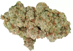avaay Signature 29/1 OGC – Ocean Grown Cookies – Produktbild des Anbieters Dr. Ansay