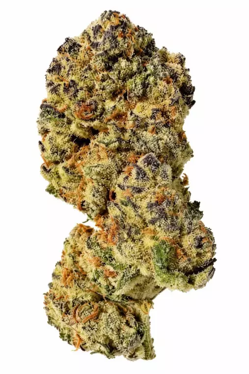 GrowMotion Nature DIN24 – Dantez Inferno – Produktbild des Anbieters Dr. Ansay