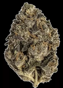Demecan Core Peach 22:01 – Peach Gelato – Produktbild des Anbieters Dr. Ansay