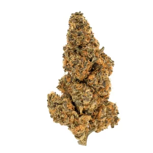 High Greens SG 28/1 – Sunset Gas – Produktbild des Anbieters Dr. Ansay