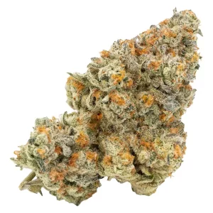 Tweed Loud Mouth 26 – Loud Mouth – Produktbild des Anbieters Dr. Ansay