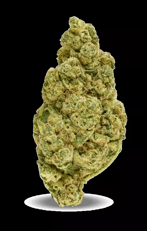 Redecan Cannabisblüten THC28 TRM – Triangle Mints – Produktbild des Anbieters Dr. Ansay