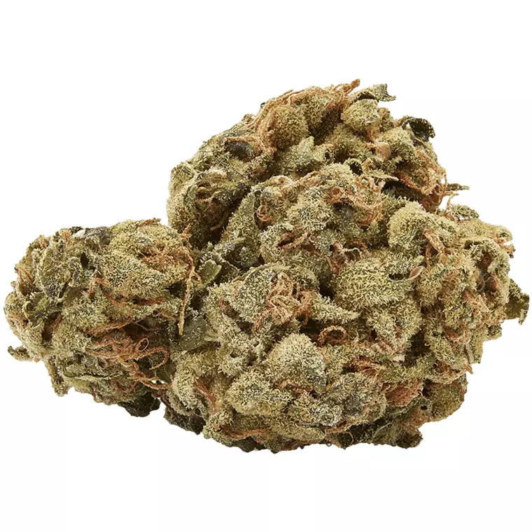 Canopy Bakerstreet 20 – Hindu Kush – Produktbild des Anbieters Dr. Ansay