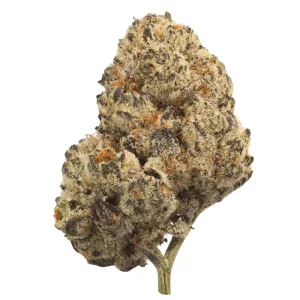 All Nations PE 27/1 – Pineapple Express – Produktbild des Anbieters Dr. Ansay