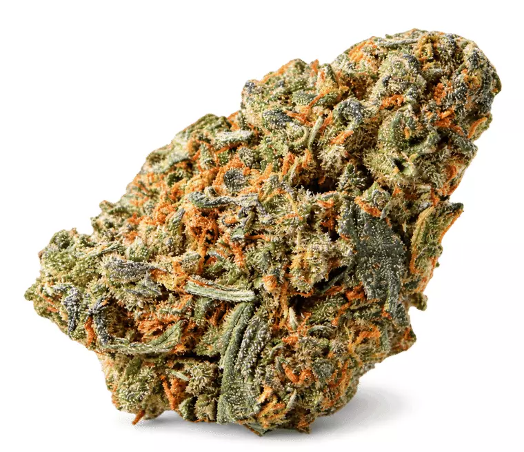 Weeco WW 24/1 DK – White Widow – Produktbild des Anbieters Dr. Ansay