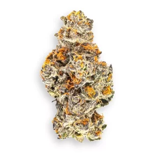 Barongo 28/1 PP – Pink Panther – Produktbild des Anbieters Dr. Ansay
