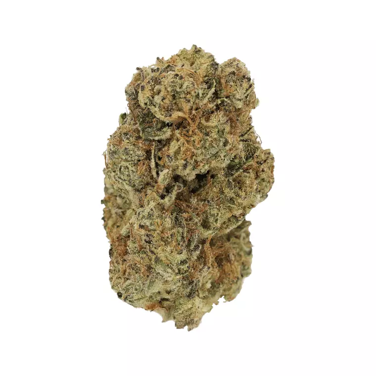 LUANA 28/1 GMS GMO – GMO Mints – Produktbild des Anbieters Dr. Ansay