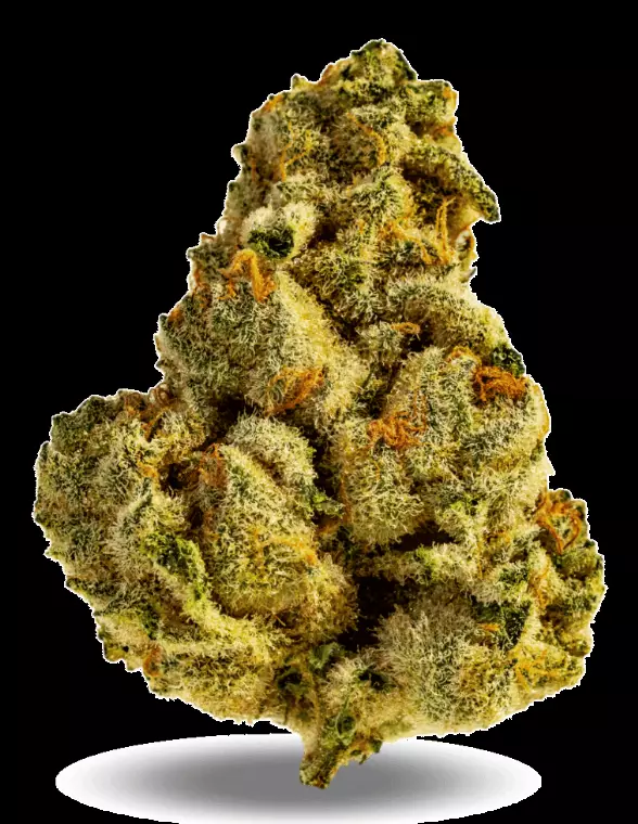 AphriaRX Cannabisblüten THC28 CCC – Cherry Cheese Cake – Produktbild des Anbieters Dr. Ansay