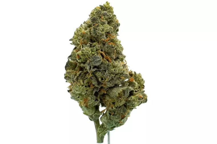 Tweed BMT 33 – Berry Mist (Strawberry Guava x Kush Mint) – Produktbild des Anbieters Dr. Ansay