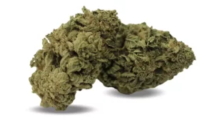 PHENO Cannabisblüten 15/1 MTG – Minty Gas – Produktbild des Anbieters Dr. Ansay