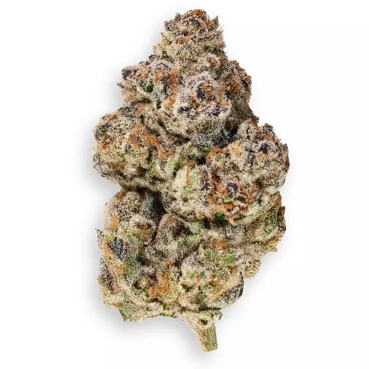 Barongo 28/1 SB – Sticky Bath – Produktbild des Anbieters Dr. Ansay