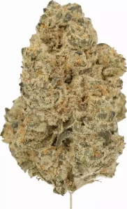 Luana 28/1 MNF – Moon Frost – Produktbild des Anbieters Dr. Ansay