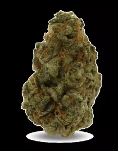 Redecan Cannabisblüten THC28 PPC – Purple Churro – Produktbild des Anbieters Dr. Ansay