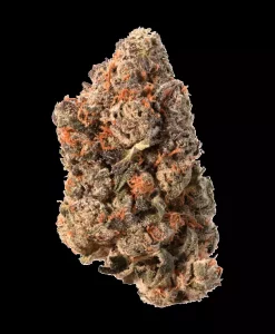 CRQSH BNTZ 30/1 – Banana Runtz – Produktbild des Anbieters Dr. Ansay