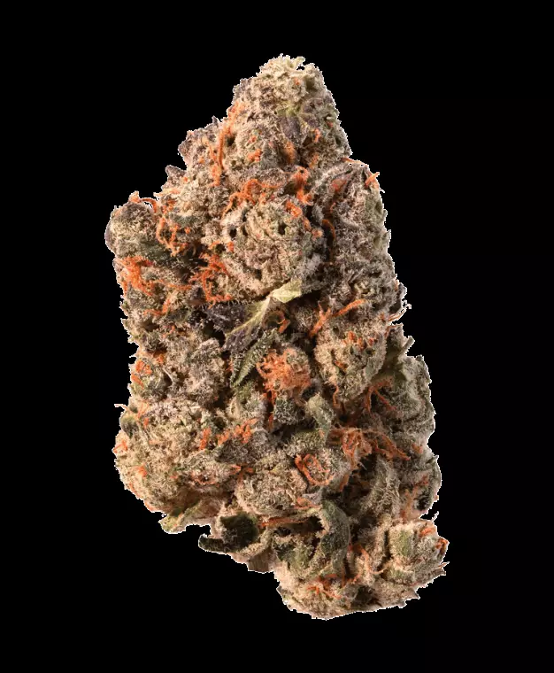 CRQSH BNTZ 30/1 – Banana Runtz – Produktbild des Anbieters Dr. Ansay