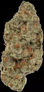 Cannamedical Sativa Ultra ES – Orange Cream Pop – Produktbild des Anbieters Dr. Ansay