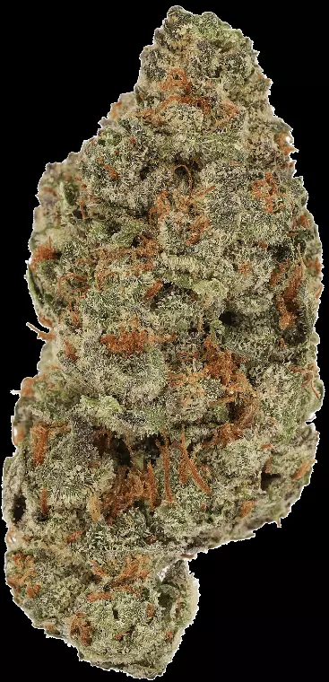 Cannamedical Sativa Ultra ES – Orange Cream Pop – Produktbild des Anbieters Dr. Ansay