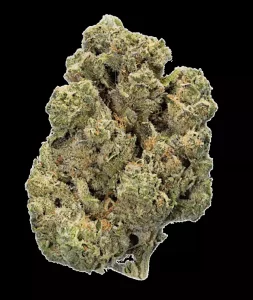 enua 30/1 SBD CA – Strawberry Diesel – Produktbild des Anbieters Dr. Ansay