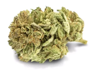 Tilray Cannabisblüten THC25 Indica No.2 – Master Kush – Produktbild des Anbieters Dr. Ansay