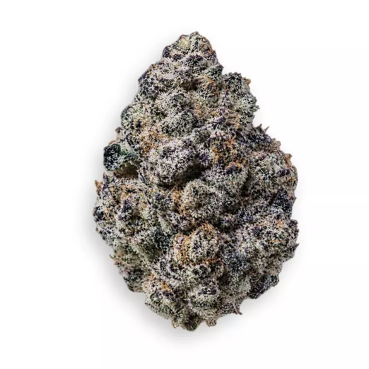 Buuo 20/1 BC (smalls) – Black Caviar – Produktbild des Anbieters Dr. Ansay