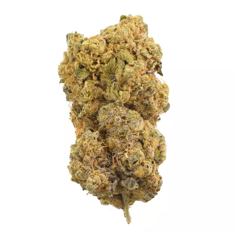 J.R. Strain GW 36/1 – G Wagon – Produktbild des Anbieters Dr. Ansay