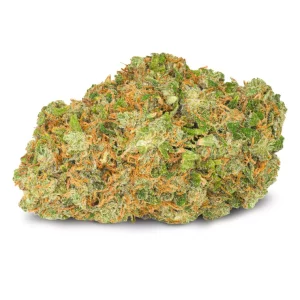 Pedanios 20/1 GTH CA – Ghost Train Haze – Produktbild des Anbieters Dr. Ansay