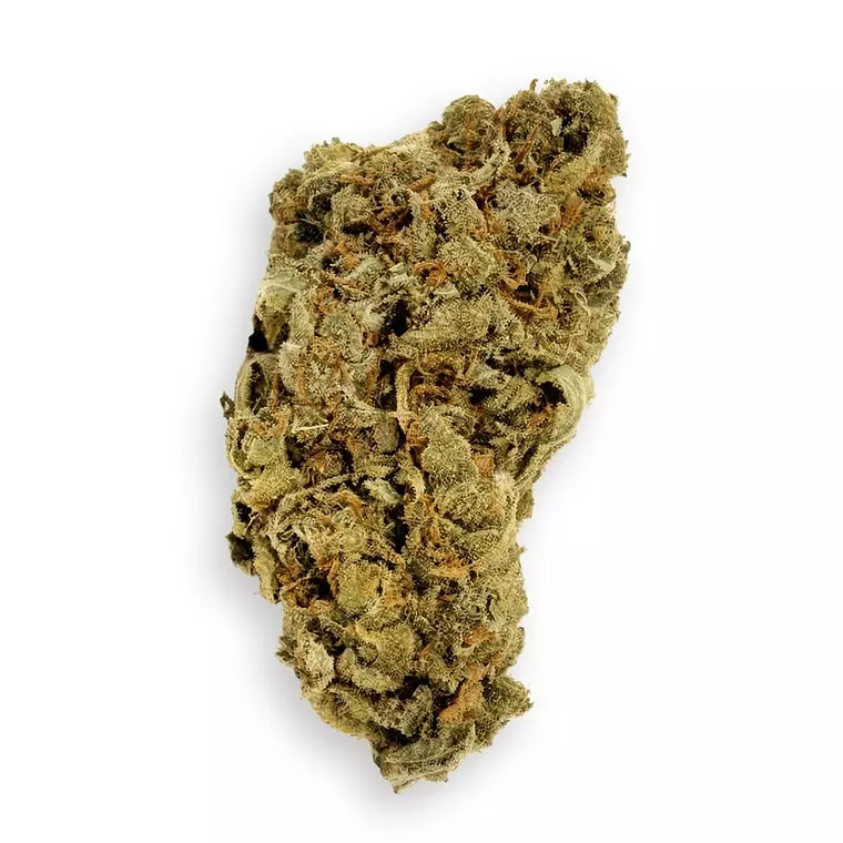 Supreme 30/1 CS – Cascade – Produktbild des Anbieters Dr. Ansay