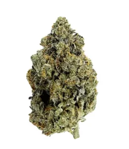 avaay Signature 23/1 ARC – Apple Rock Candy – Produktbild des Anbieters Dr. Ansay