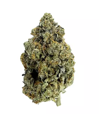 avaay Signature 23/1 ARC – Apple Rock Candy – Produktbild des Anbieters Dr. Ansay