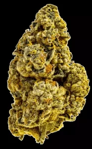 Tilray Craft Cannabisblüten THC25 CTB – Cactus Breath – Produktbild des Anbieters Dr. Ansay