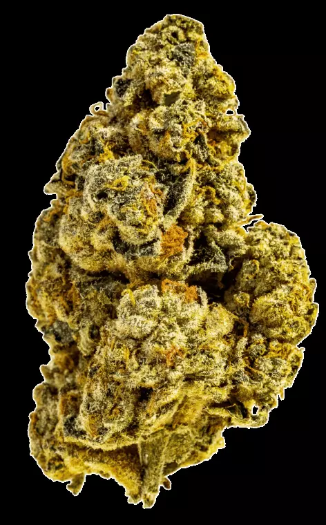 Tilray Craft Cannabisblüten THC25 CTB – Cactus Breath – Produktbild des Anbieters Dr. Ansay