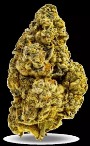 AphriaRX Cannabisblüten THC25 – CTB – Cactus Breath – Produktbild des Anbieters Dr. Ansay
