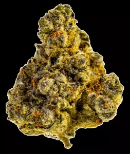 Tilray Craft THC25 PPV Platinum Pavé – Platinum Pavé – Produktbild des Anbieters Dr. Ansay