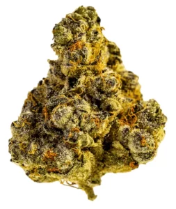 Tilray Craft Cannabisblüten THC22 – PPV – Platinum Pave 34 – Produktbild des Anbieters Dr. Ansay