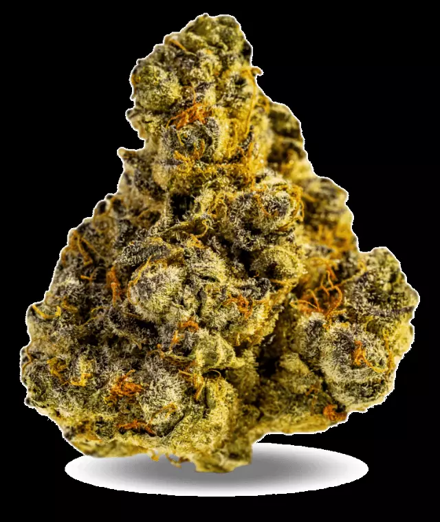 AphriaRX Cannabisblüten THC25 PPV – Platinum Pave – Produktbild des Anbieters Dr. Ansay