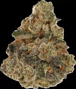 Cannamedical CM 28/1 DM – Diamond Mints – Produktbild des Anbieters Dr. Ansay