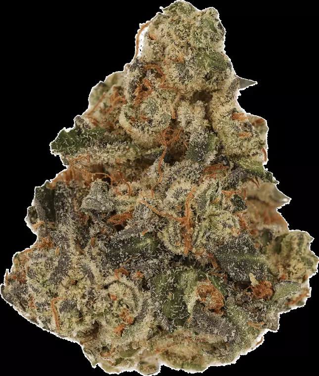 Cannamedical CM 28/1 DM – Diamond Mints – Produktbild des Anbieters Dr. Ansay
