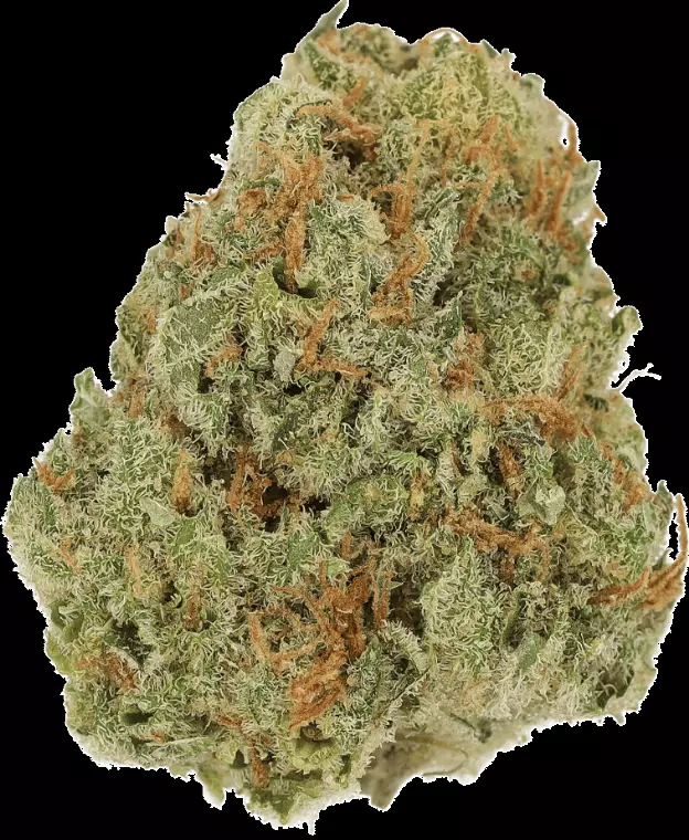 Cannamedical Sativa Forte NM – Amsterdam Amnesia – Produktbild des Anbieters Dr. Ansay
